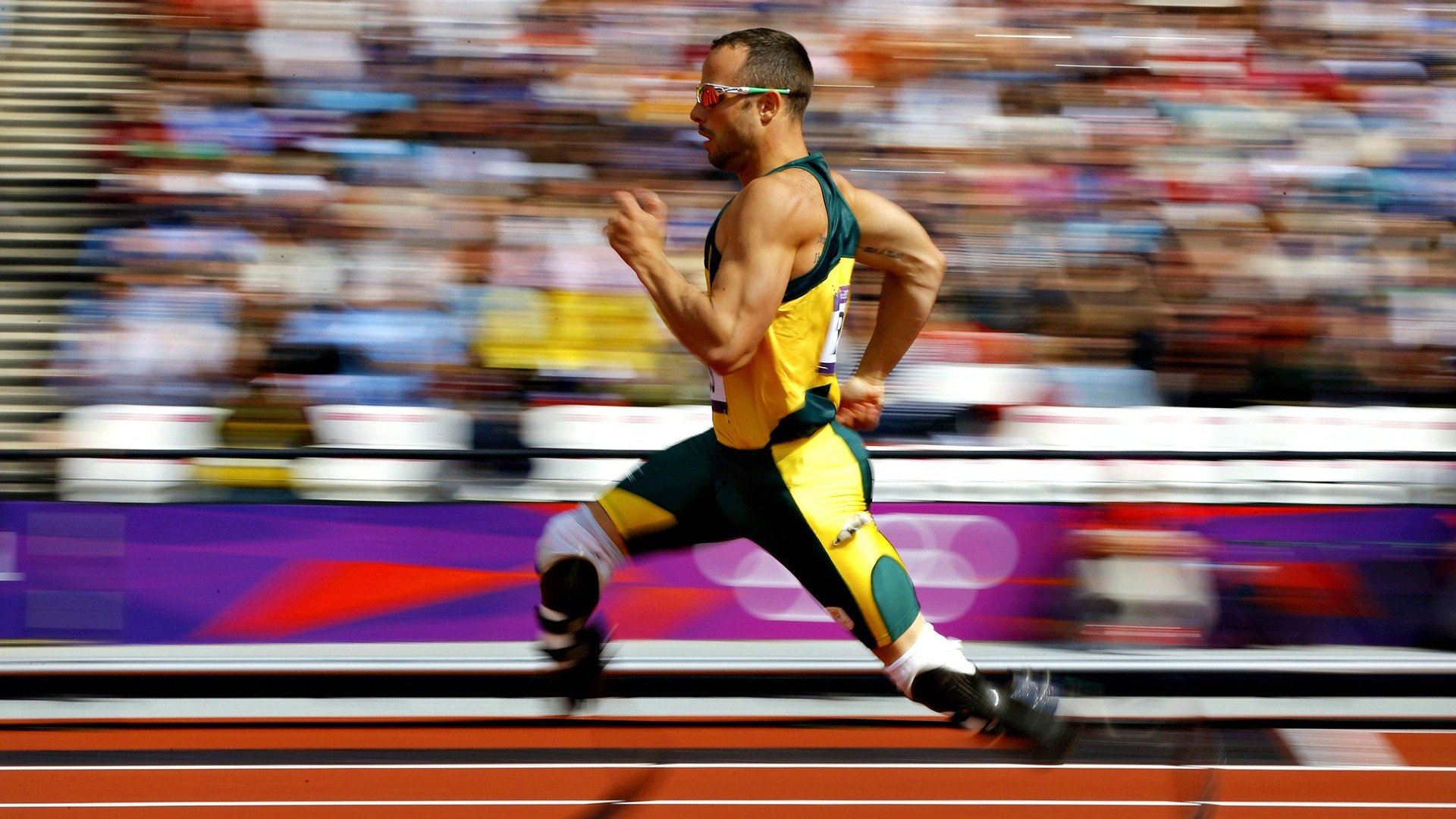 _雄鹿再创奇迹,字母哥三双制胜_,字母哥雄鹿报道视频